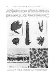 go ah ra fake nude|Park Shin-hye - Wikipedia