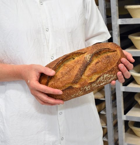 Red Hen Baking by null