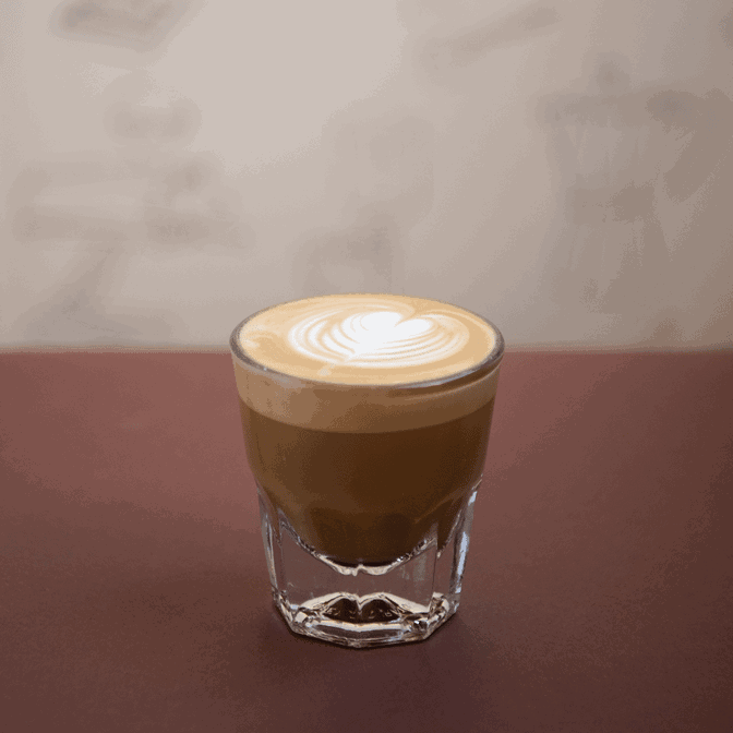 SIGNAL Coffee Roasters by null