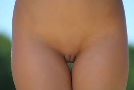 Smooth vagina jpg x Smooth vagina