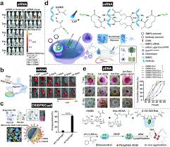 Han Chae-ah fakenude|Advancing cancer treatments: The role of oligonucleotide-based therapies in  driving progress: Molecular Therapy Nucleic Acids