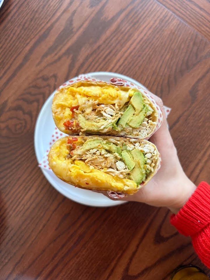 Shy Bird - Fenway by null