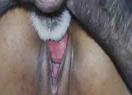 Women and animal sex jpg x Women and animal sex