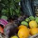 Fruit and vegetable retailers join new campaign 