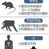 「タウリンは老化防止に有望」米コロンビア大など動物実験で確認 ...