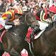 Japanese stayers Pop Rock and Delta Blues fought out an epic finish to the ... 