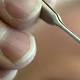 Some cities choose options other than spraying to combat West Nile virus 