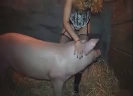 Fucking pig jpg x Fucking pig