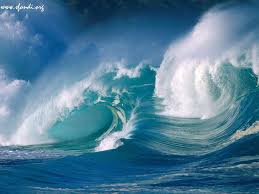http://t0.gstatic.com/images?q=tbn:ANd9GcQ__LIcIZQLFbfE91ENKkdJkjSGuwqECjTA_RzuVgevzZf7NTz2