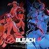 Bleach