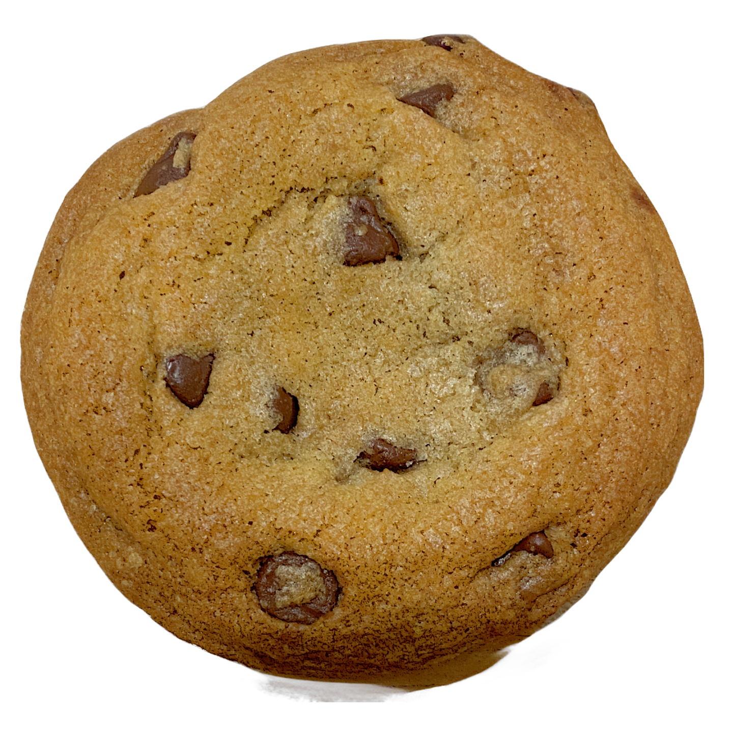 The Fickle Pickle by null