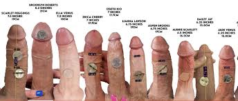 Cock comparison jpg x Cock comparison