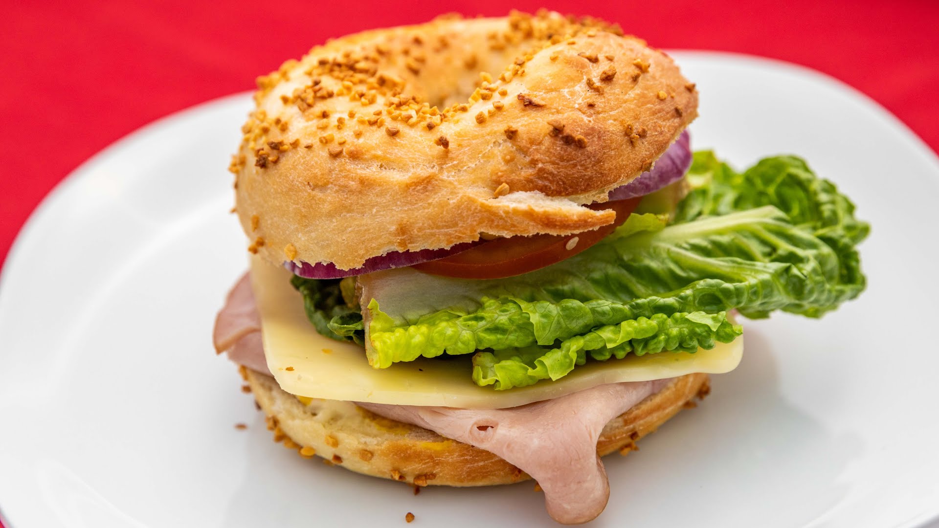 Puddletown Bagels - Springwater Cart Park by null