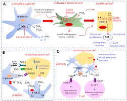 go ah ra fake nude|Untitled