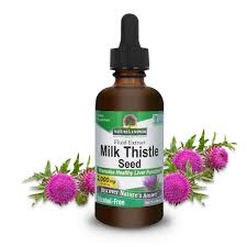 Milk thistle benefits jpg x Milk thistle benefits