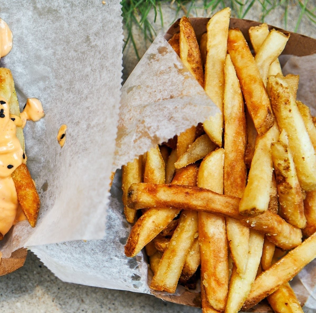 The Fat Shallot by null