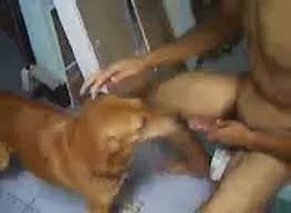 Male dog porn with animals free zoo sex videos jpg x Man fuck female dog