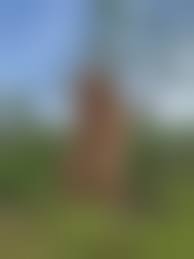 mature squatting nudists|The kitty is back 😌🐱 #coverthekitty #leggings #gymfit #squatproof sq... |  leggings | TikTok