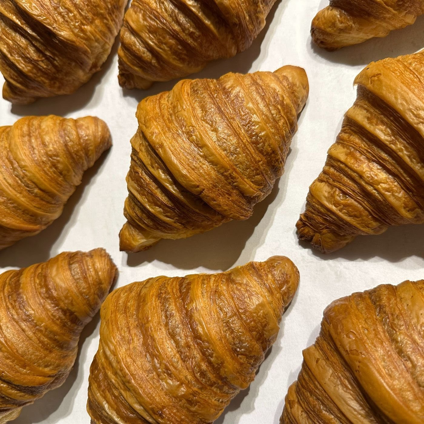 Four Worlds Bakery by null