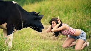images