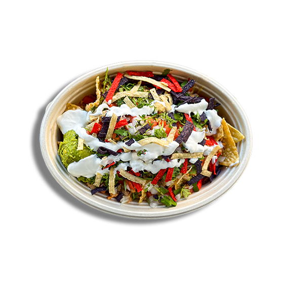 Freebirds World Burrito by null