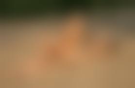 2 nude beach girls|Nude Beach Girl Gets Together With Her Friends - FAPCAT