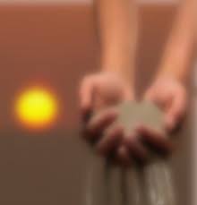 http://t0.gstatic.com/images?q=tbn:ANd9GcQgF4lK7pGThcV0O87yKax2VRDdlrwW_ltfqGdV6rKFZ4LO6vY7HQ