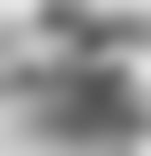 Nudists Art nude|Art in the buff: Paris museum opens up to nudists - TVTS