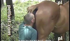 Gorgeous man fucking mare from behind zoofilia porn animal porn tube site png x Man fuck mare