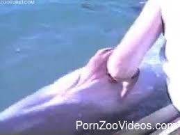 Girl fucks dolphin nixdcom jpg x Man fucks dolphin