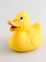 http://t0.gstatic.com/images?q=tbn:ANd9GcQhWjN427VVaxrCj1znMZnoPtdZHzOpxnzeNAIN8qvnW8oW6LjX