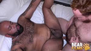 Ebony bear jpg x Ebony bear