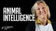 The Fascinating World of Animal Intelligence ile ilgili video