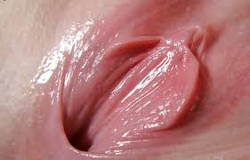 Most beautiful pussylips ever pounding perfect pussy till creampie close up fantasy jpg x Beautiful pussy close up