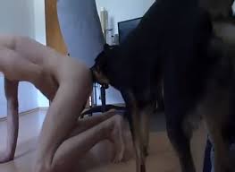 Energetic zoophile teen getting fucked a dog jpg x Teen fucked by dog