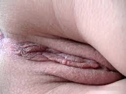 Ass hole close jpg x Ass hole close up