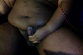 Ebony bear jpg x Ebony bear