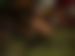 badonion hentai 3d 16|Page 16 | various-authors/badonion/canine-serving | Erofus - Sex and Porn  Comics