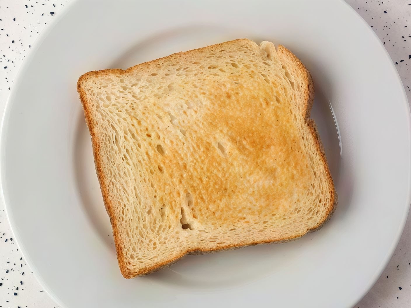 Vaibhav Vegetarian Restaurant by null