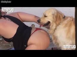 Amateur teen time dog porn zoo porn amateur zoo porn dog at katitube jpg x Amateur dog sex