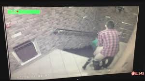 Security cam in the office corridor filming fuck session porn jpg x Security camera sex