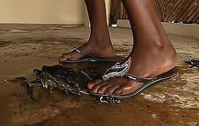 Ebony crush jpg x Ebony crush
