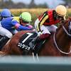 【シンザン記念予想】出世レースとして名高い一戦、春の大舞台へ ...