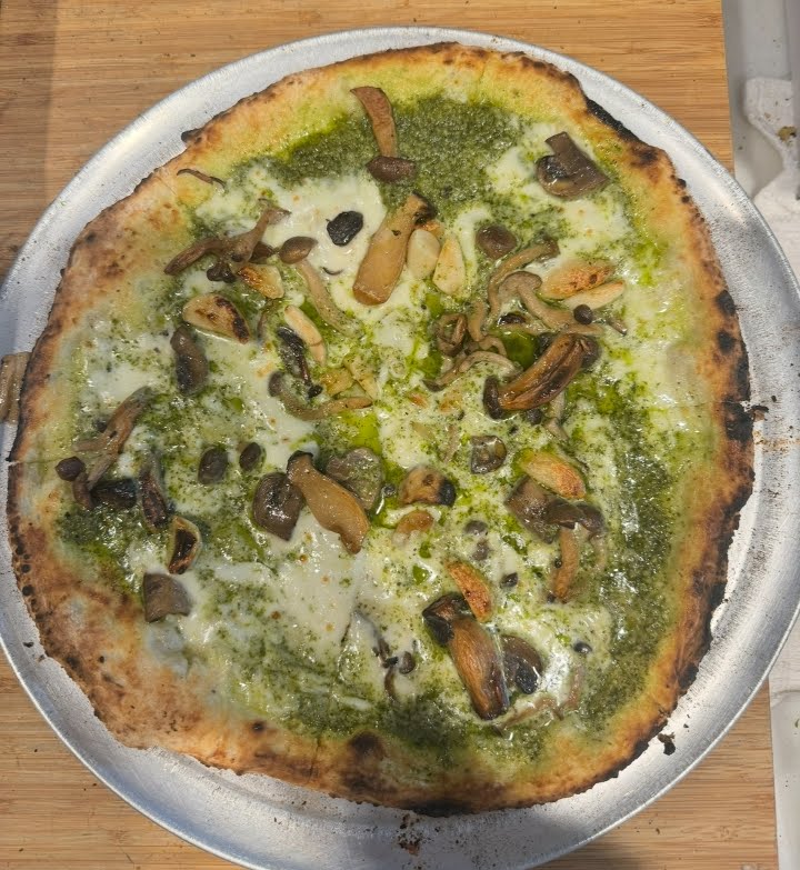 Flora d'Italia by null