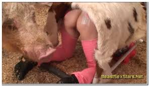Pig fucks png x Pig fucks