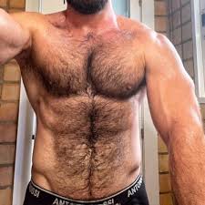 Ragingstallion hairy muscle hunk boys get physical and get anal jpg x Gay hairy muscle