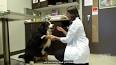 Exploring the Fascinating World of Veterinary Medicine ile ilgili video