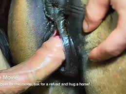 Ced fgaybeast com horny mare gay zoo porn petlust men fuck animals jpg x Man fuck mare