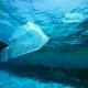 Breakdown of Biodegradable Plastics in Ocean 'Extremely Slow,' UN Report Says 