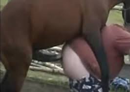 Women fucked horse jpg x Women fucked by horse